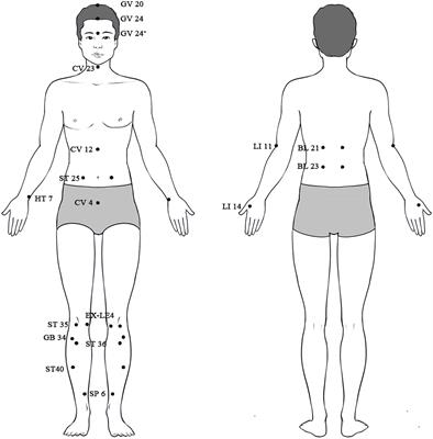 Neural circuit mechanisms of acupuncture effect: where are we now?